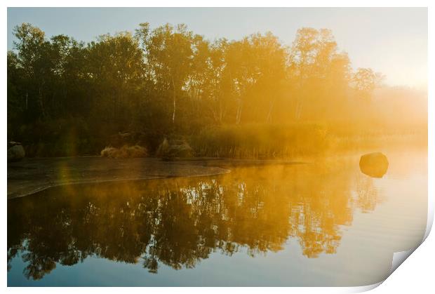 autumn along the Whiteshell River Print by Dave Reede
