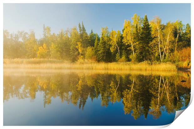 along the Whiteshell River Print by Dave Reede