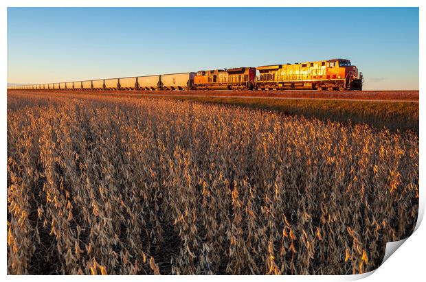 a train passes a soybean field Print by Dave Reede