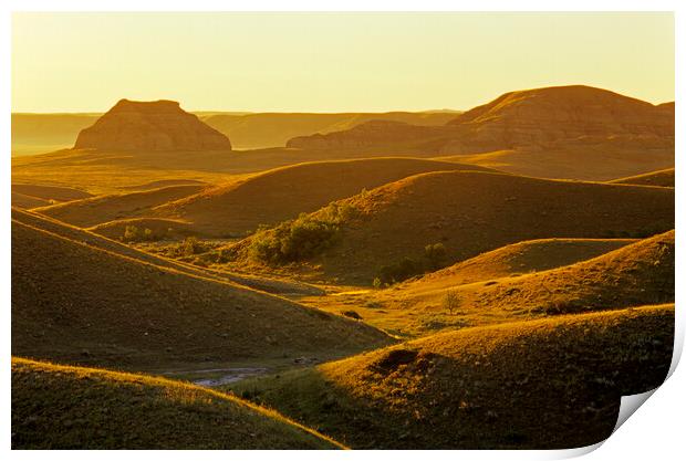 morning light  over the Big Muddy Badlands Print by Dave Reede