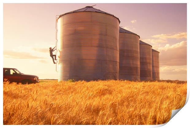 a farmer climbs a grain storage bin Print by Dave Reede