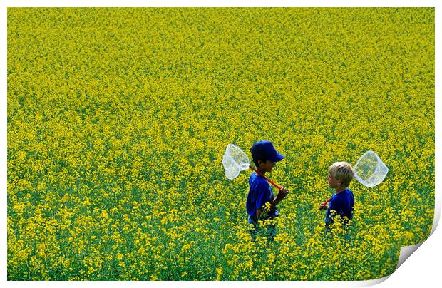 Boys in Canola Field Print by Dave Reede