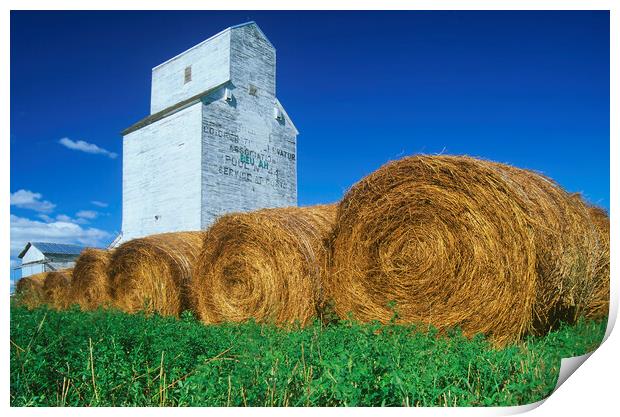 alfalfa bales in front of old grain elevator Print by Dave Reede