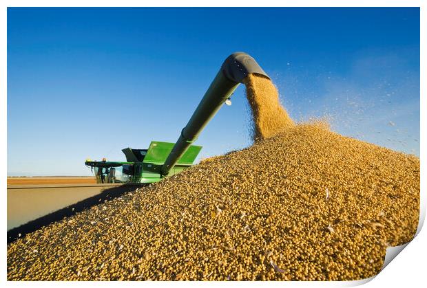 Soybean Harvest Unloading on the Go Print by Dave Reede