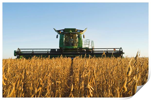 Evening Soybean Harvest Print by Dave Reede