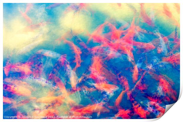 Joyful Koi Fish Abstract Print by Joseph S Giacalone