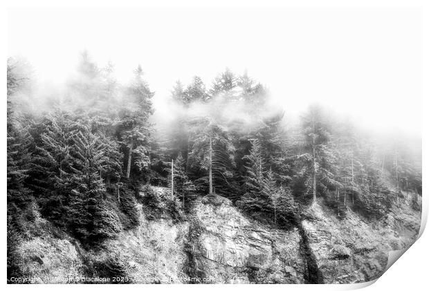 Trees In The Mist - Oregon Print by Joseph S Giacalone