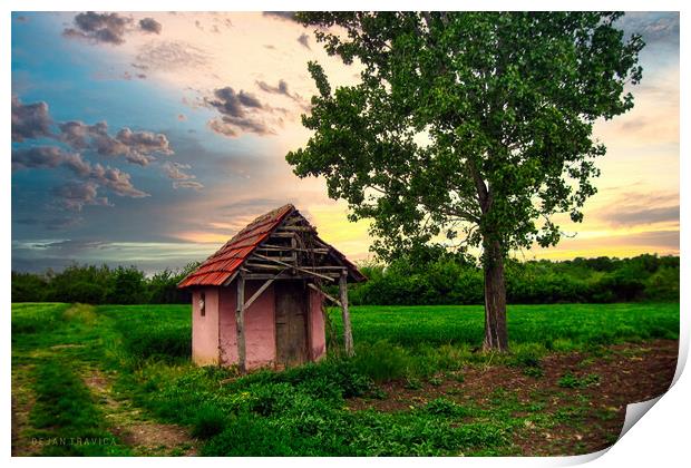 A hut in the field Print by Dejan Travica