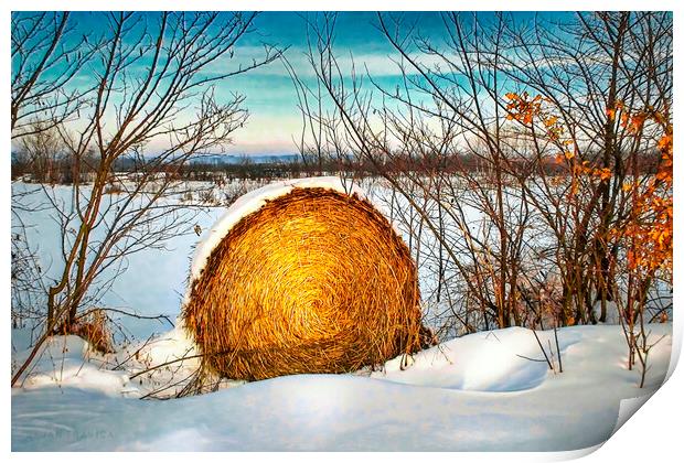 Hay bale forgotten in the snow Print by Dejan Travica