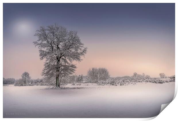 Winter tree Print by Dejan Travica