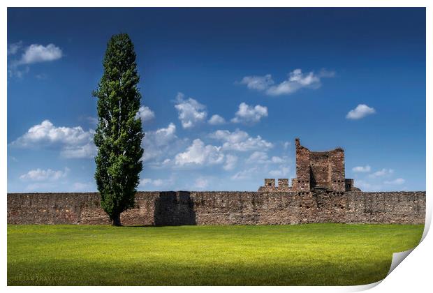 Lonely tree by the fortress walls Print by Dejan Travica