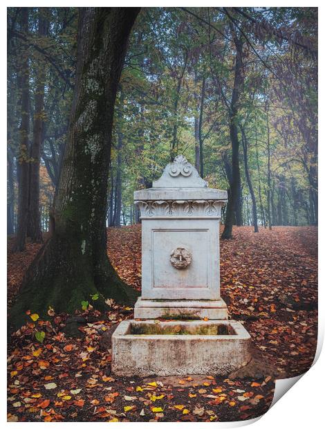 The old marble fountain in the forest on Oplenac hill in Serbia  Print by Dejan Travica