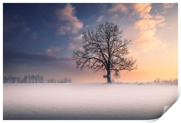 Winter idyll Print by Dejan Travica
