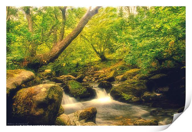 Aira force Print by CHRIS ANDERSON