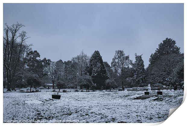 A snow covered forest Print by Man And Life