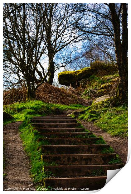 Stone steps leading up a lush green hillside with bare trees against a clear sky at Brimham Rocks, in North Yorkshire Print by Man And Life