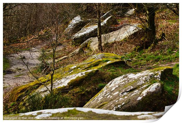 Moss-covered rocks in a forest with sunlight filtering through trees at Brimham Rocks, in North Yorkshire Print by Man And Life