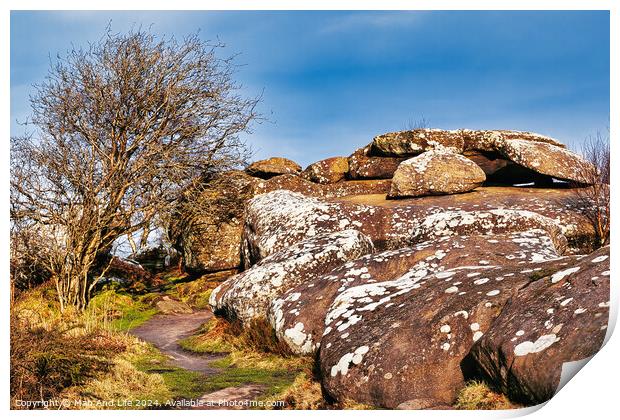 Scenic view of a rocky outcrop with lichen spots, a leafless tree, and a clear blue sky in the countryside at Brimham Rocks, in North Yorkshire Print by Man And Life