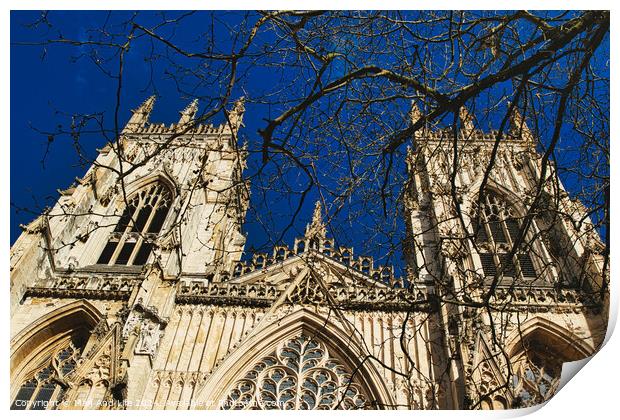Gothic cathedral facade with intricate architecture and blue sky background, framed by bare tree branches in York, North Yorkshire, England. Print by Man And Life