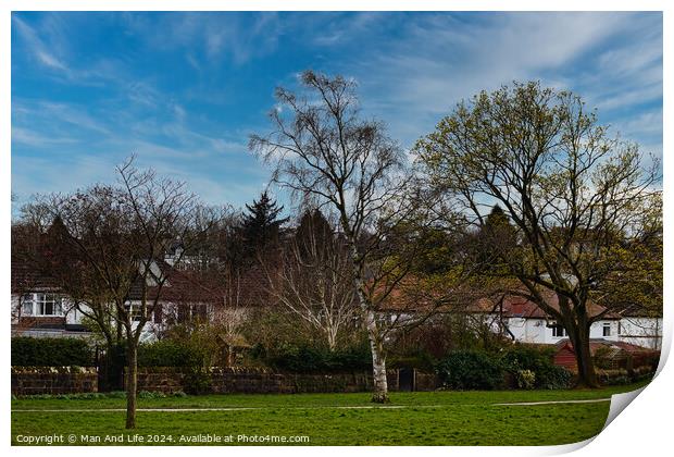 Tranquil suburban landscape with lush green grass, diverse trees in early bloom, and a clear blue sky, showcasing a serene residential neighborhood in Harrogate, North Yorkshire. Print by Man And Life
