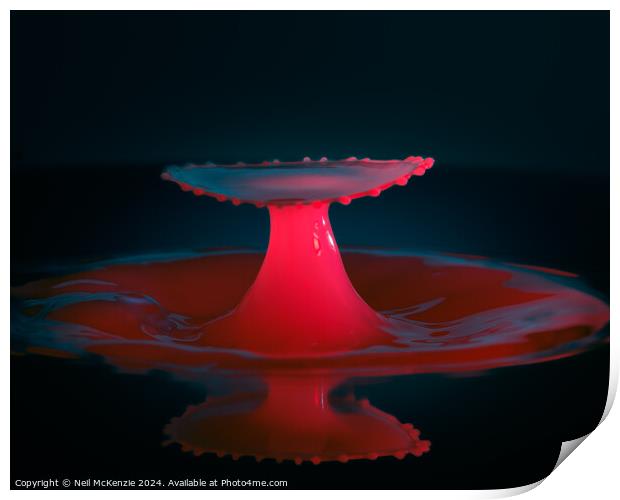 Splash of red Print by Neil McKenzie