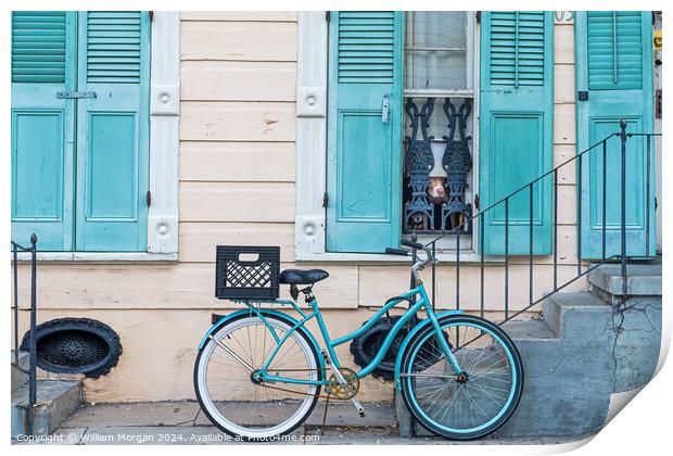 Historic New Orleans French Quarter Home in Pastel Blue and Beige with Bicycle and Dogs Print by William Morgan
