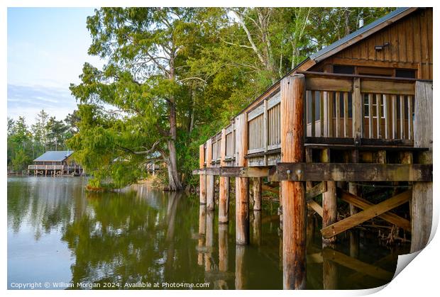 Cabins and Trees along Lake Fausse Pointe in Louisiana, USA Print by William Morgan