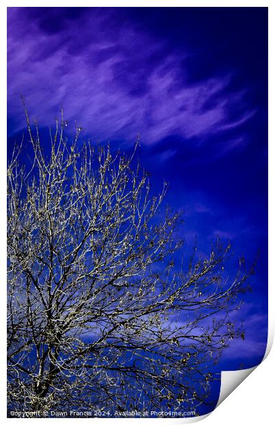 A tree with blue sky and clouds Print by Dawn Francis