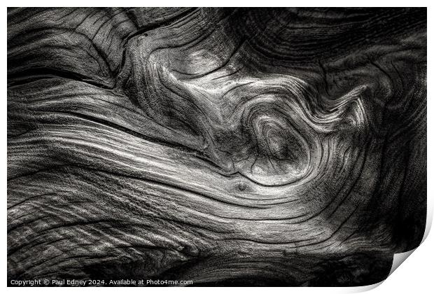 Monochrome curves in driftwood on Ynyslas Beach, W Print by Paul Edney