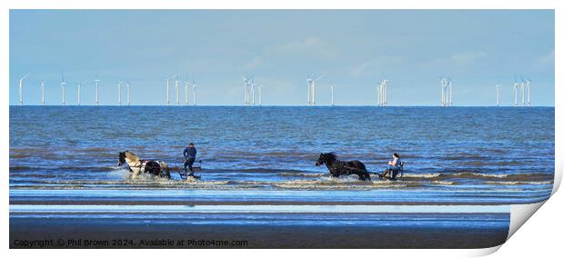 Horses trotting in the sea, Solway Firth.  Print by Phil Brown