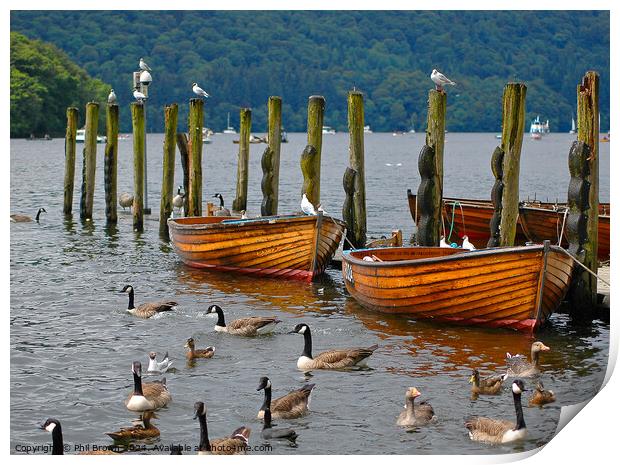 Rowing boats moored on Windermere. Print by Phil Brown