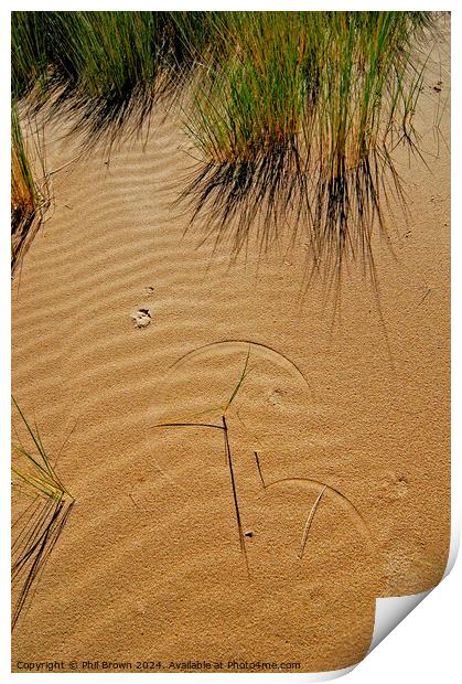 Grass forms patterns on the sand Print by Phil Brown