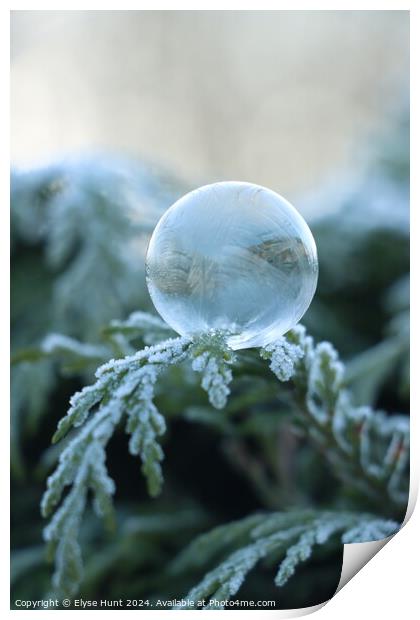 Frozen bubble Print by Elyse Hunt