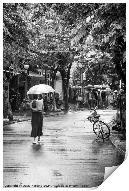 Woman with Umbrella Print by David Harding