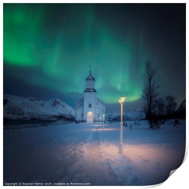 Norway - Aurora Print by Royston Palmer