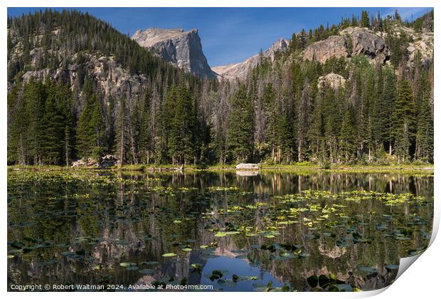Late Summer Lily Pads on Nymph Lake, in Rocky Mountain National Park, Colorado. Print by Robert Waltman