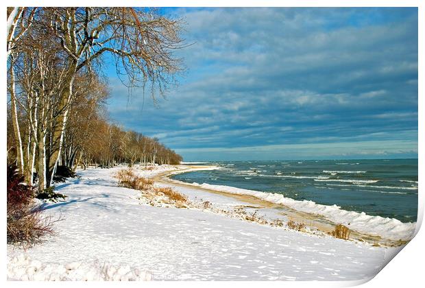 Snow on lake shore in Winter Print by Pete Klinger