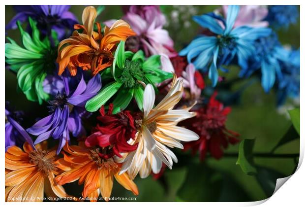 Bright Colored Spring Flowers Print by Pete Klinger