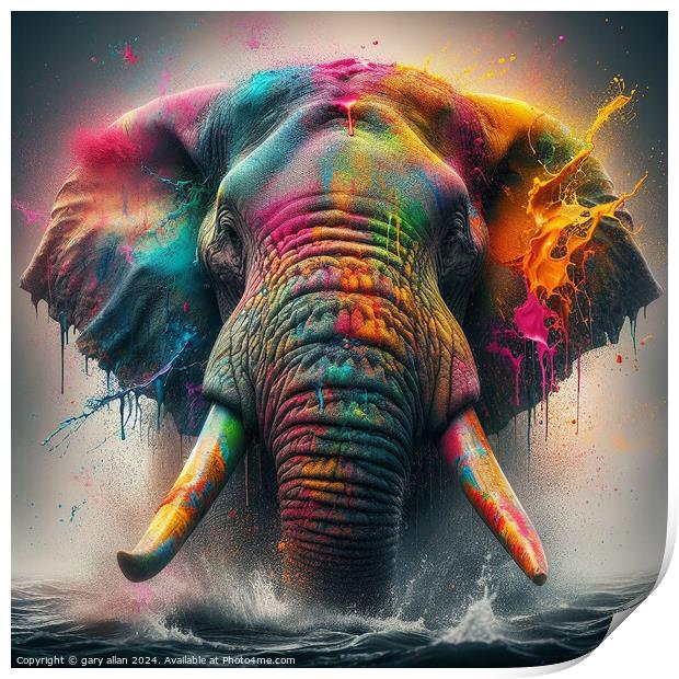 Charging Elephant covered in paint  Print by gary allan