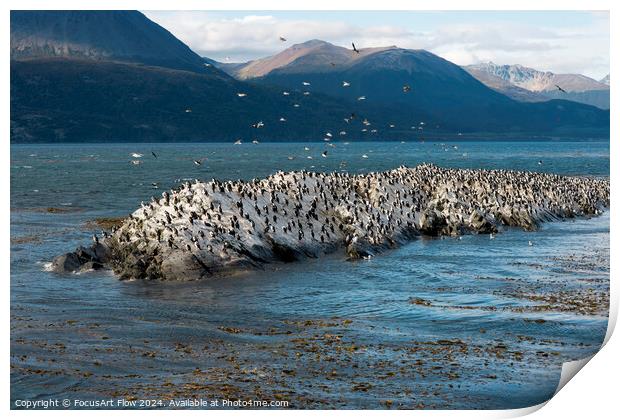Beagle Channel Birds Flock on Tierra Del Fuego Shores Print by FocusArt Flow