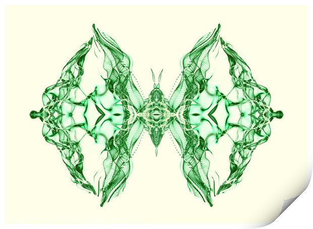 Butterfly Series: Emerald Green Symmetrical Butterfly Print by FocusArt Flow