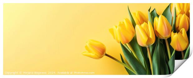 Yellow tulips on the yellow background Print by Mirjana Bogicevic
