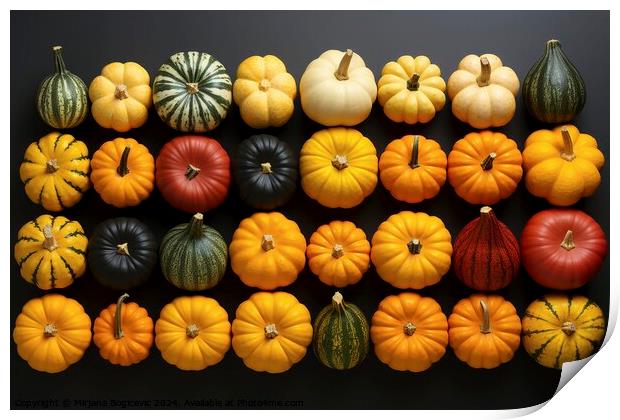 Top view at different pumpkins Print by Mirjana Bogicevic