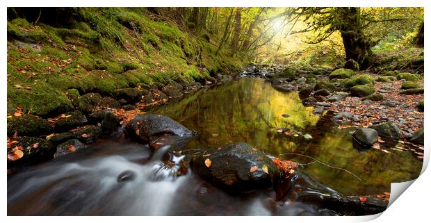 Autumn River Print by Karl Oparka