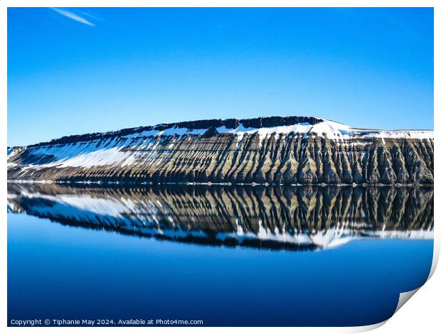 Arctic Reflections Print by Tiphanie May