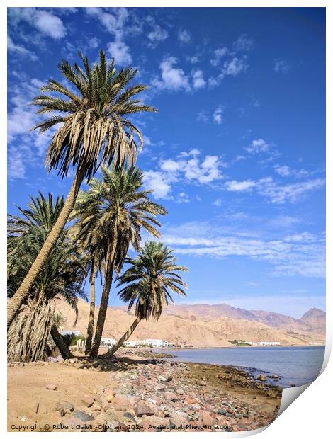 Palms on a Dahab, Egypt beach Print by Robert Galvin-Oliphant