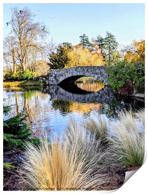 Old Stone Bridge on park pond Print by Robert Galvin-Oliphant