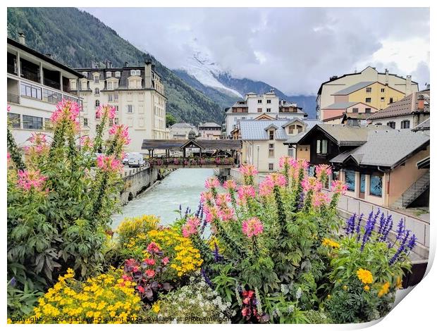 Colourful flowers in French Alps  Print by Robert Galvin-Oliphant