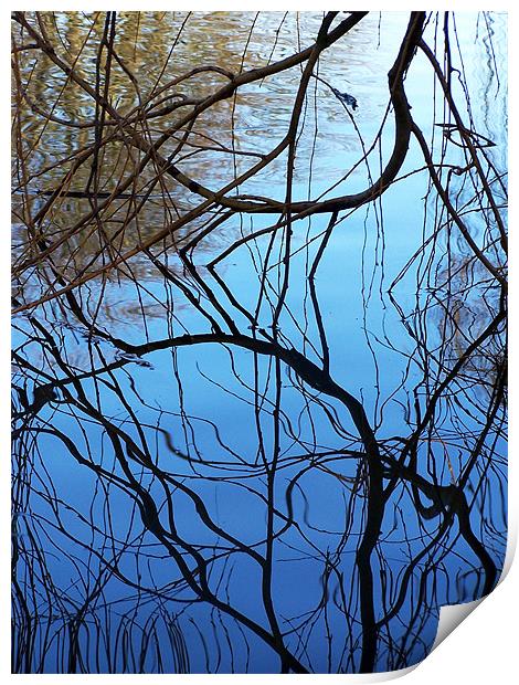 Reflection Print by val butcher