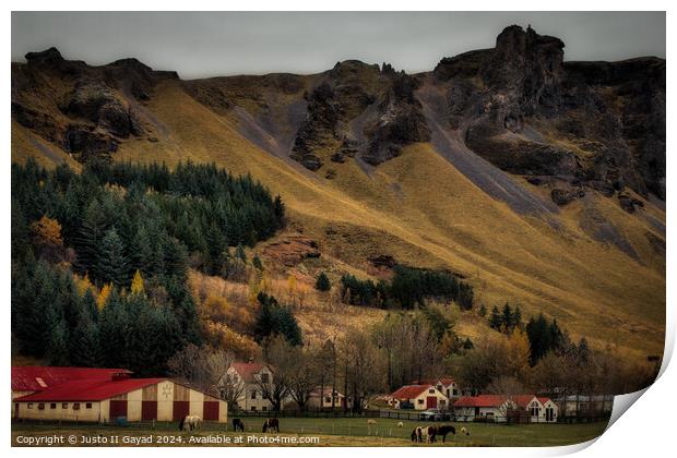 A beautiful hamlet in Kálfafell, South east Iceland Print by Justo II Gayad